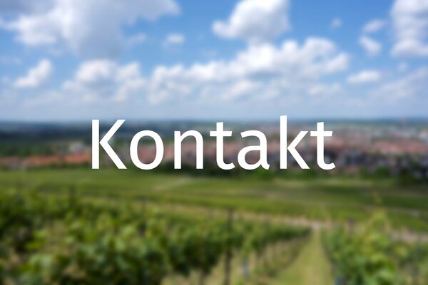 Verschwommener Blick auf Fellbach von den Weinbergen aus und Aufschrift Kontakt.